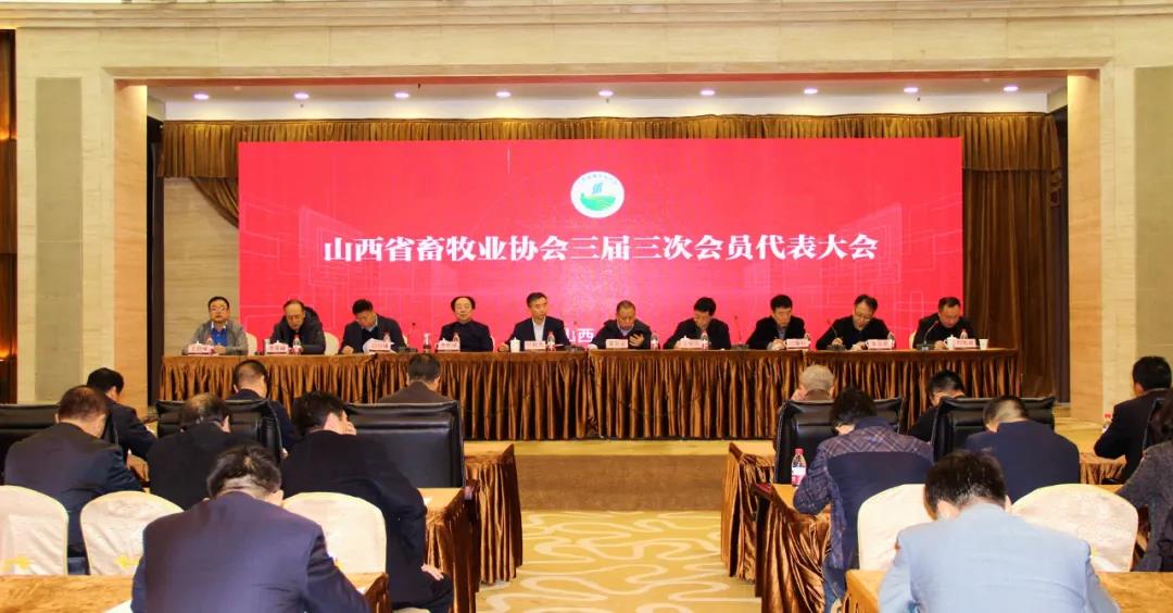 ����ͻ��-������κ�����_MG������Ϸ