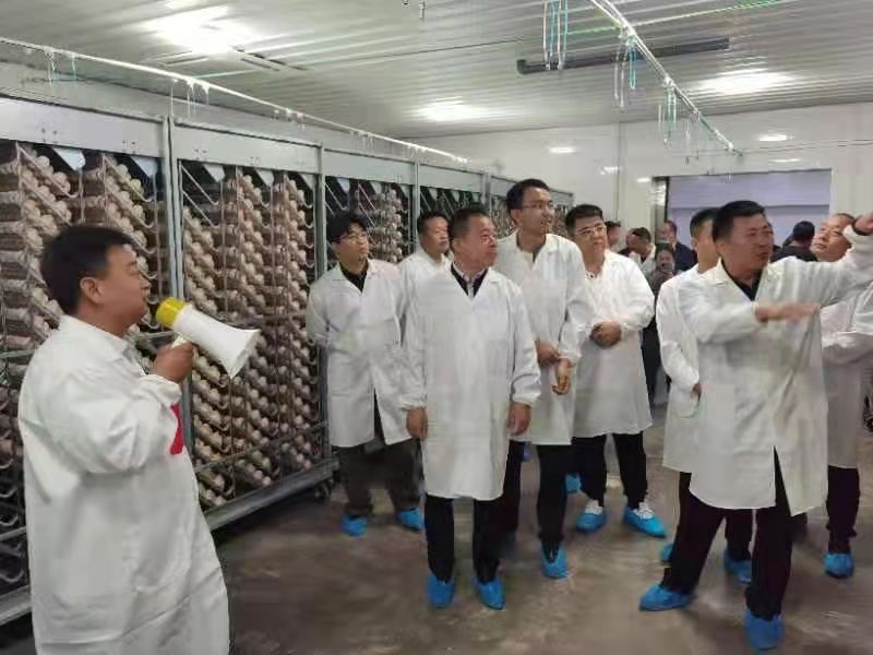 ����ͻ��-������κ�����_MG������Ϸ