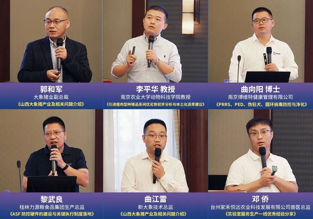 ����ͻ��-������κ�����_MG������Ϸ