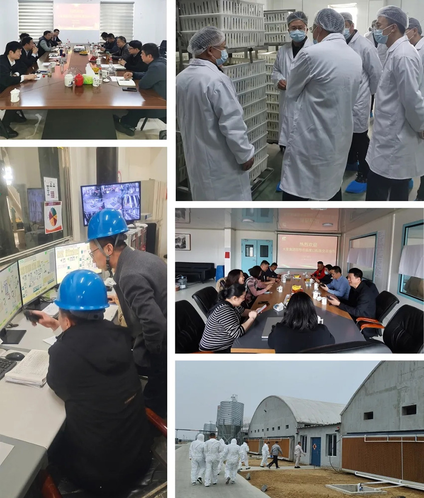 ����ͻ��-������κ�����_MG������Ϸ