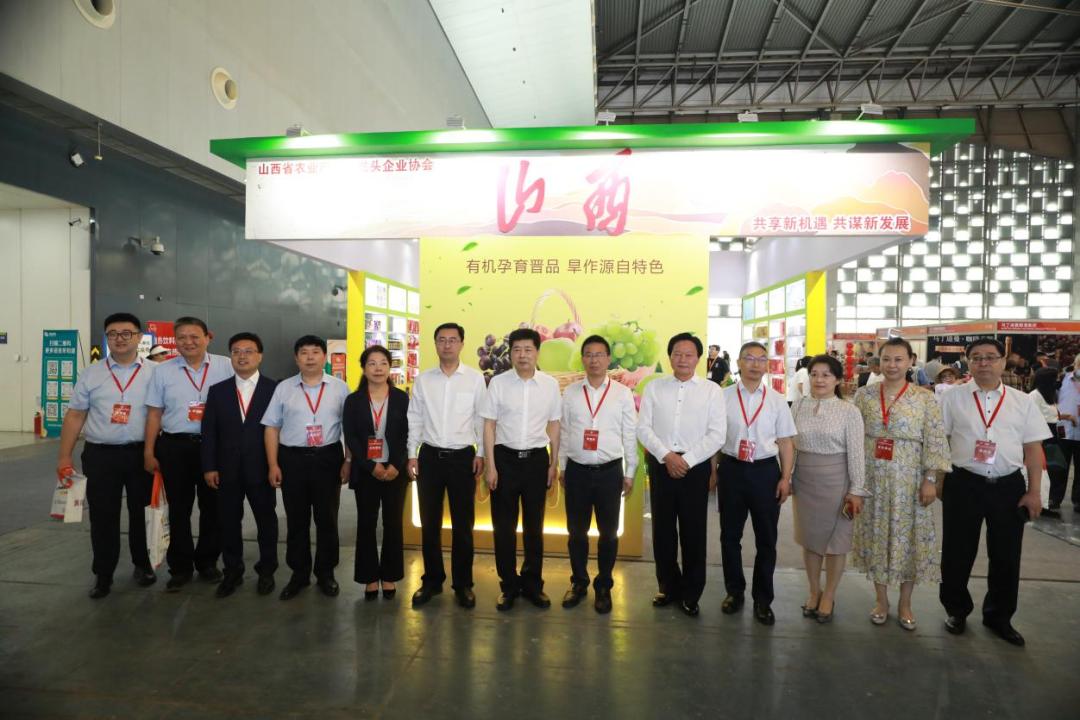 ����ͻ��-������κ�����_MG������Ϸ