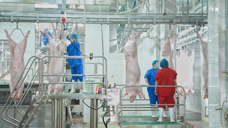 ����ͻ��-������κ�����_MG������Ϸ