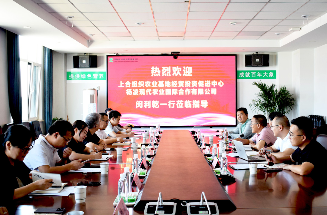 ����ͻ��-������κ�����_MG������Ϸ