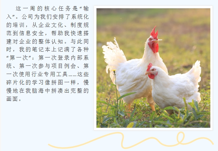 ����ͻ��-������κ�����_MG������Ϸ