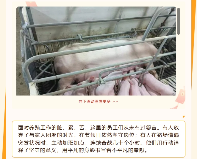 ����ͻ��-������κ�����_MG������Ϸ