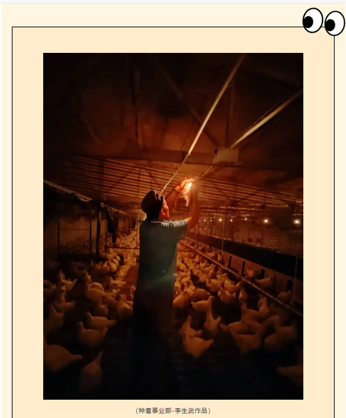 ����ͻ��-������κ�����_MG������Ϸ